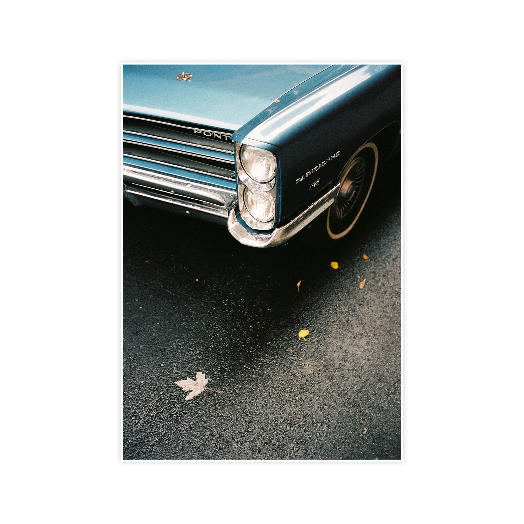 American Blue, Canada