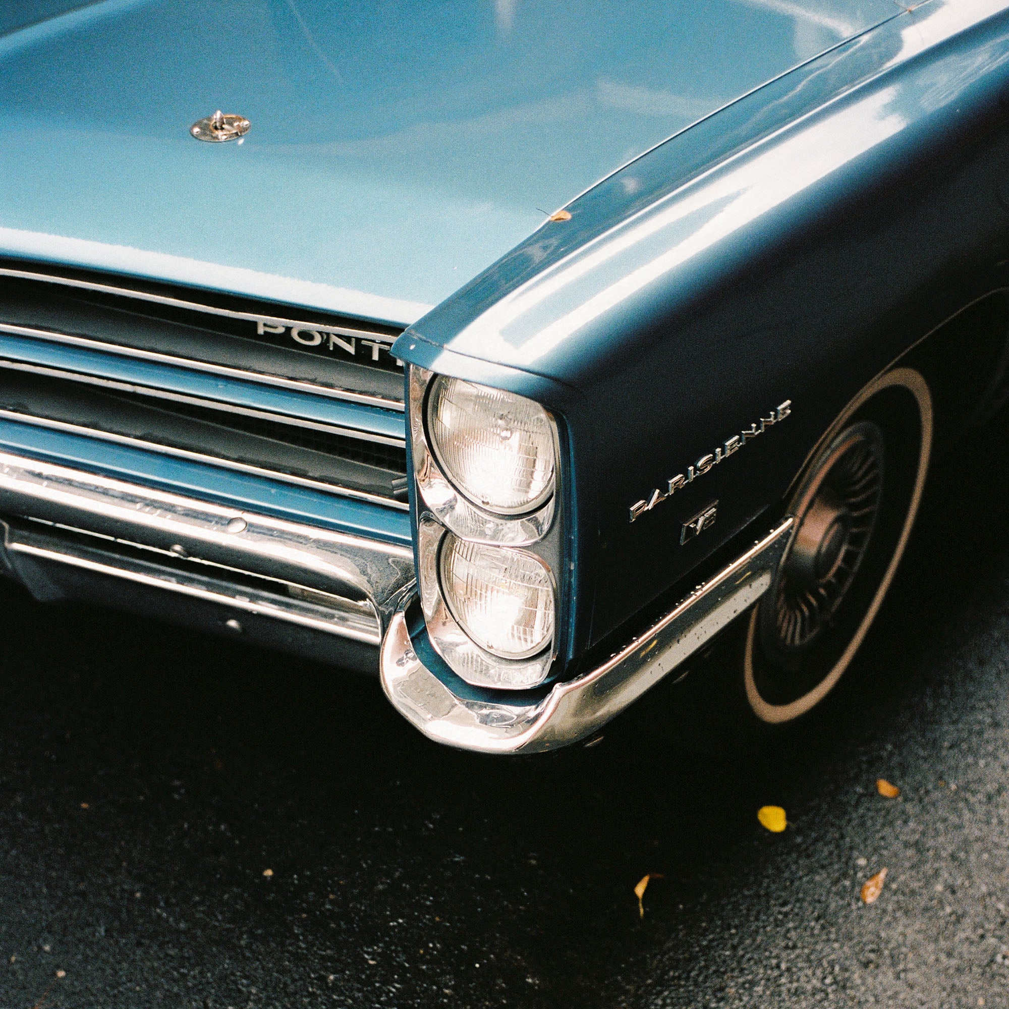 American Blue, Canada