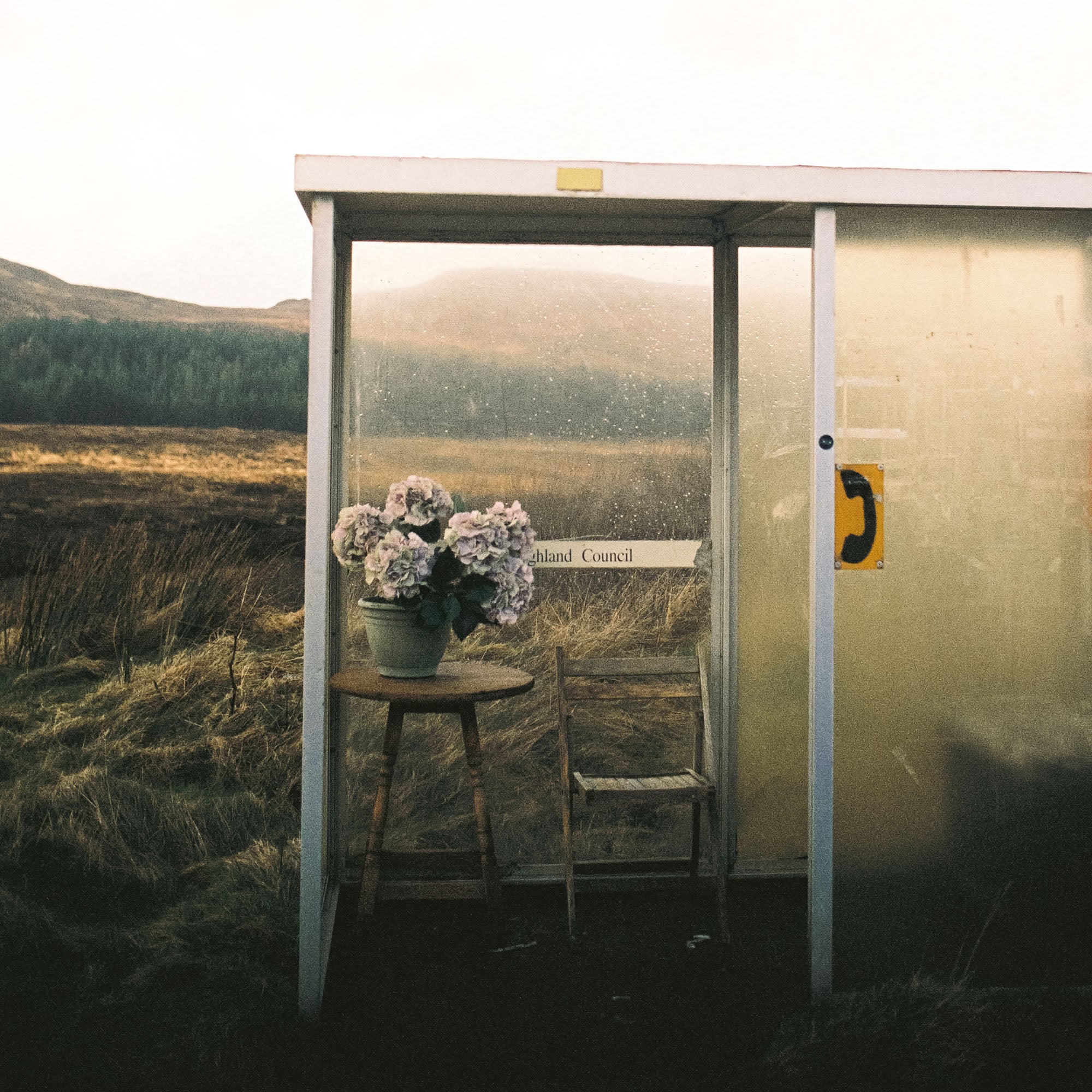 Bus Stop, Scotland