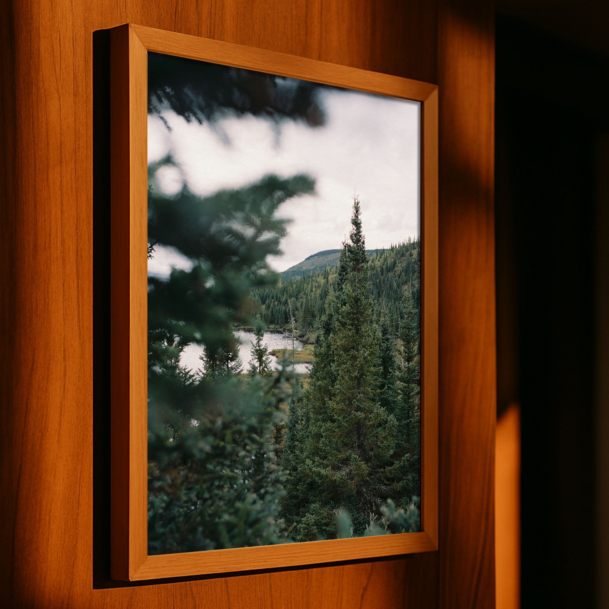 Among the Trees, Canada