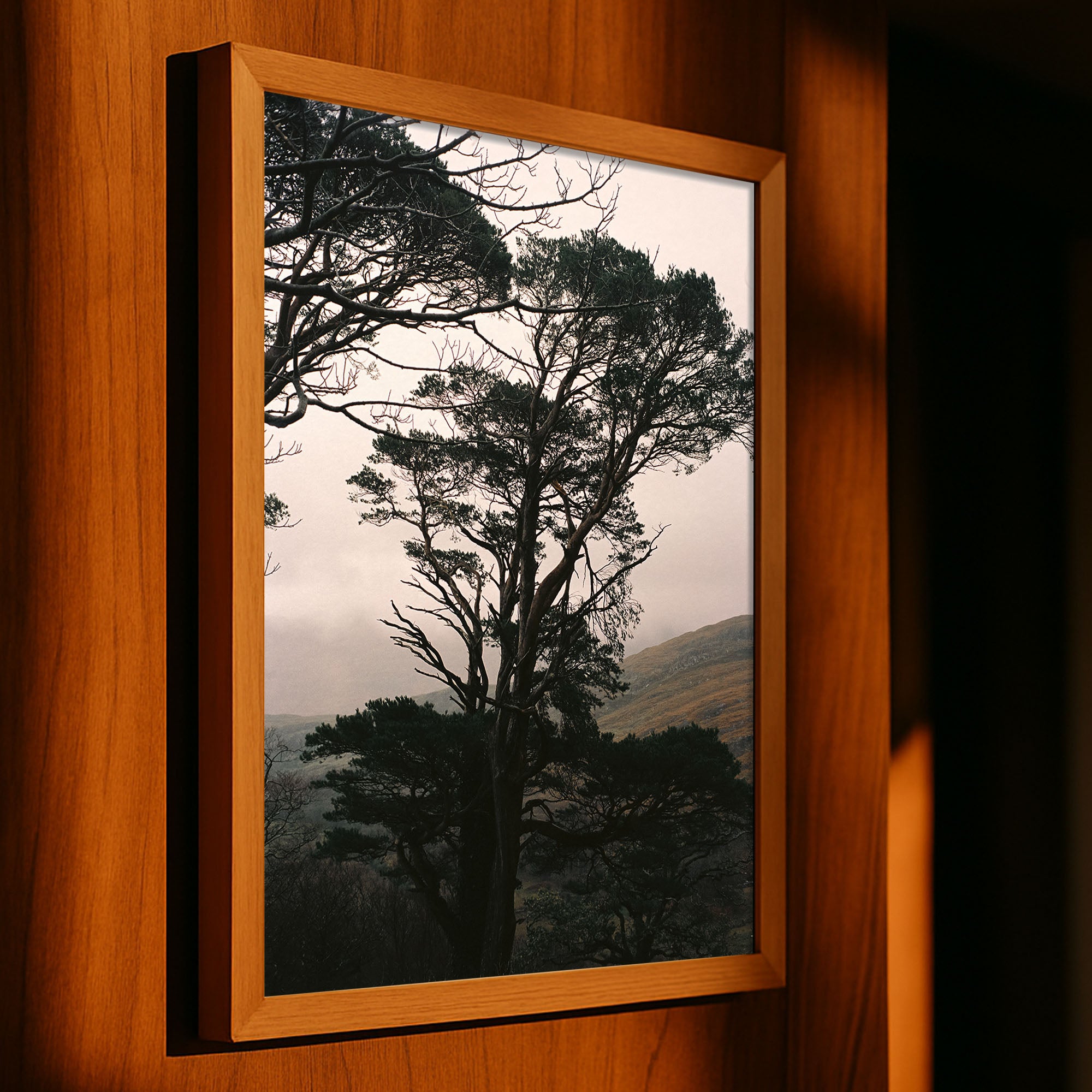 Still Standing, Ireland