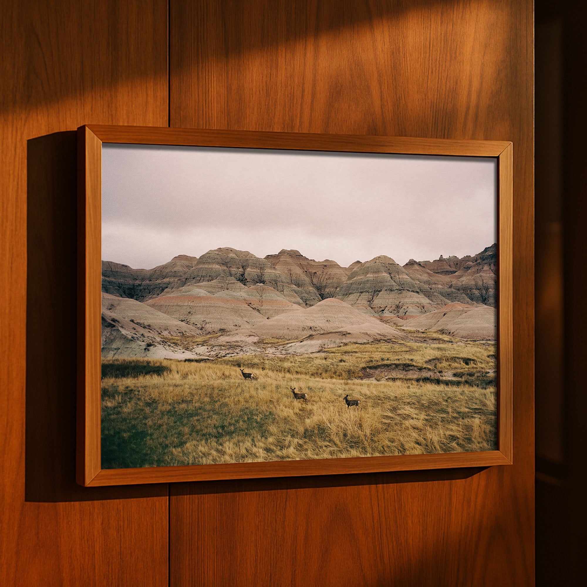 Across the Grasslands, USA