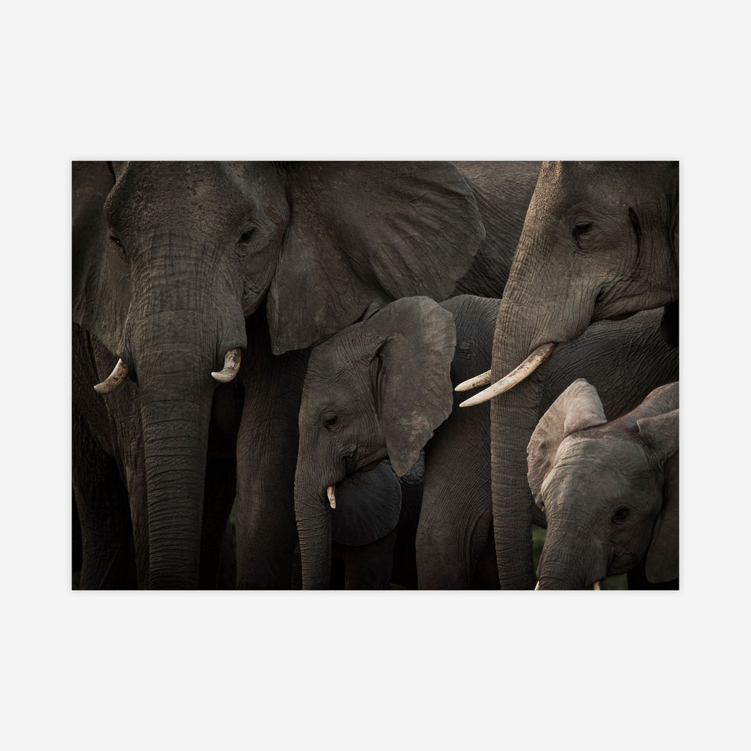 Générations, Botswana